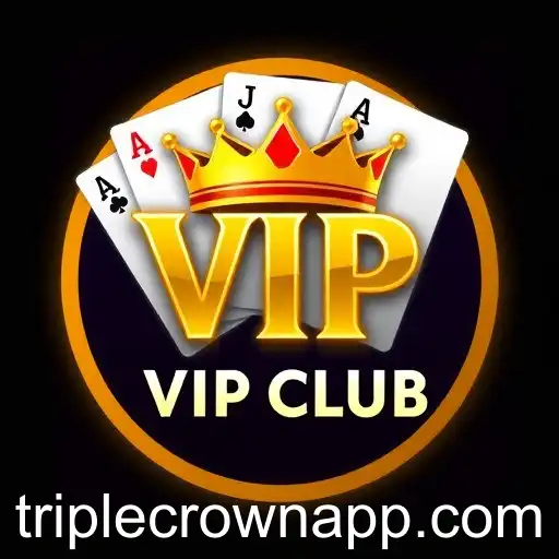 The Evolution of Online Casinos in the Gaming Industry